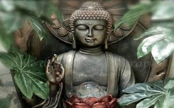 Thế nào là phòng hộ các căn?